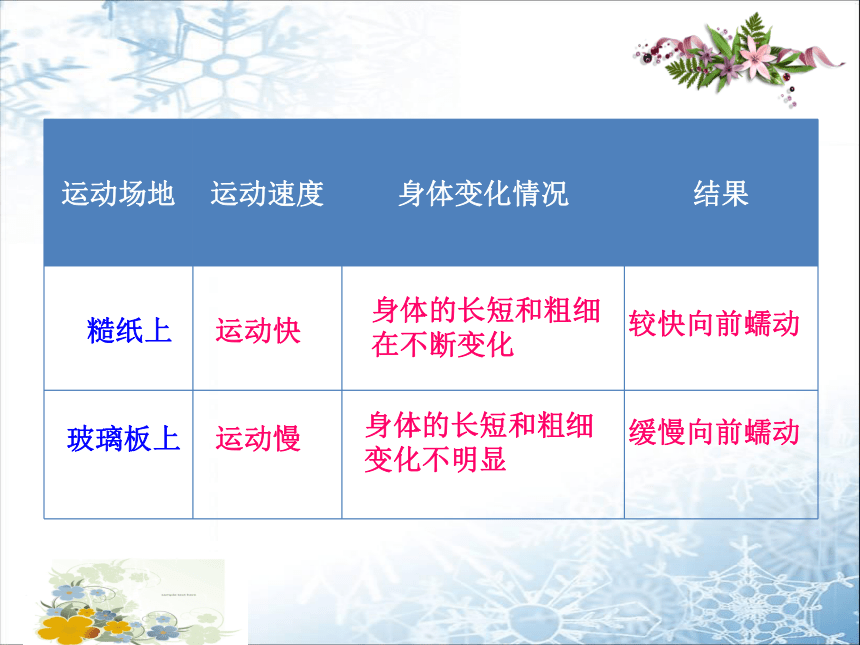 鲁科版五四制八年级上册生物 7.1.2线形动物和环节动物  课件（共21张PPT）