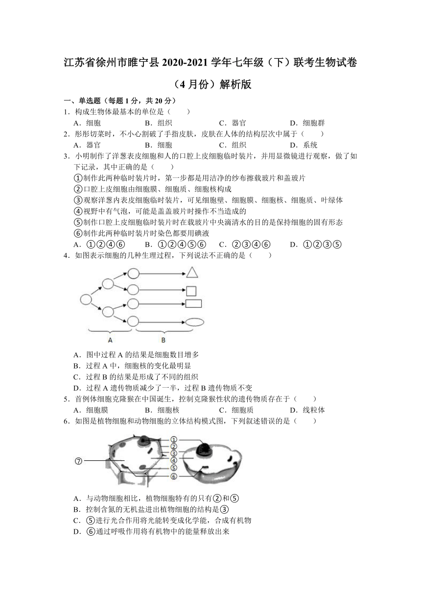 江苏省徐州市睢宁县2020-2021学年七年级（下）联考生物试卷（4月份）（word版含解析）