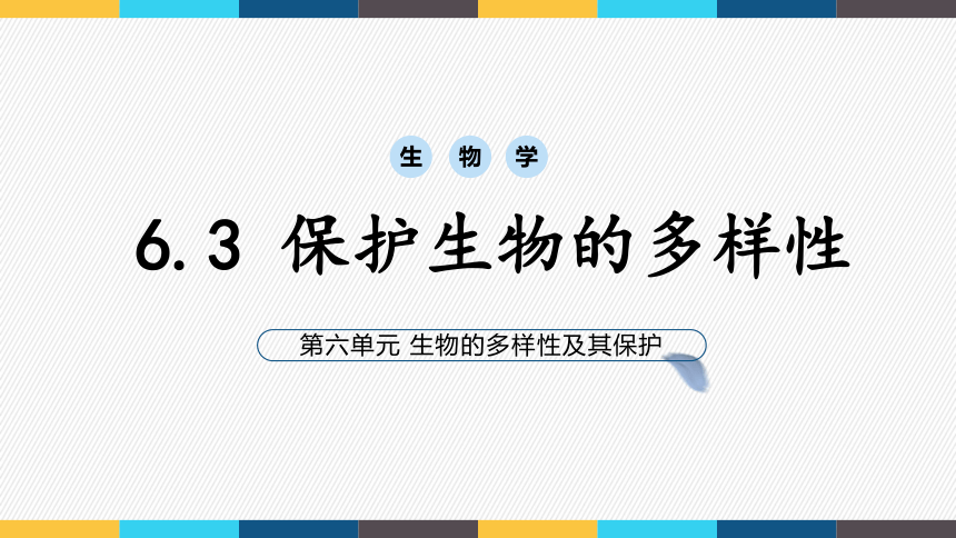 2021-2022学年人教版生物学八年级上册6.3   保护生物的多样性  课件(共16张PPT)