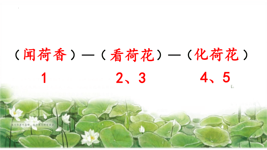 3《荷花》第二课时 课件(共25张PPT)