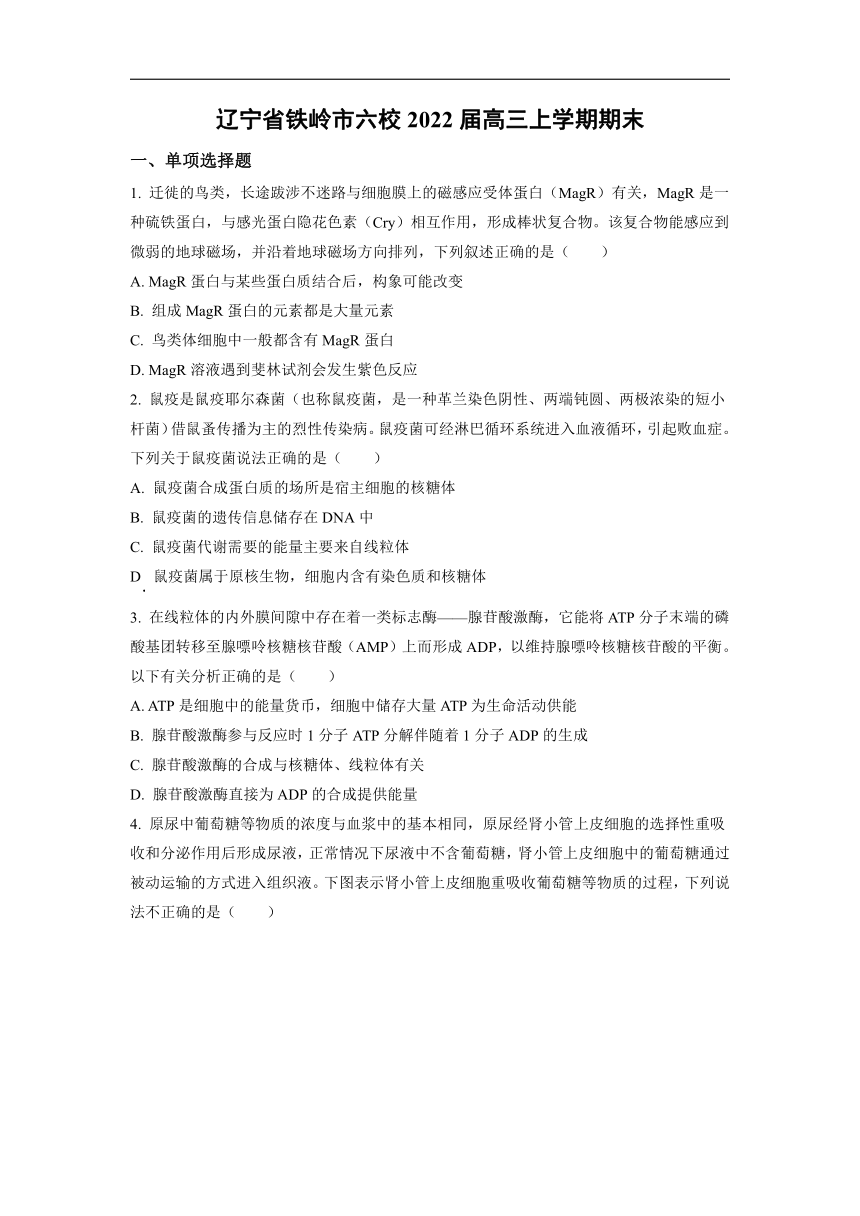 【生物】辽宁省铁岭市六校2022届高三上学期期末（word版含答案）