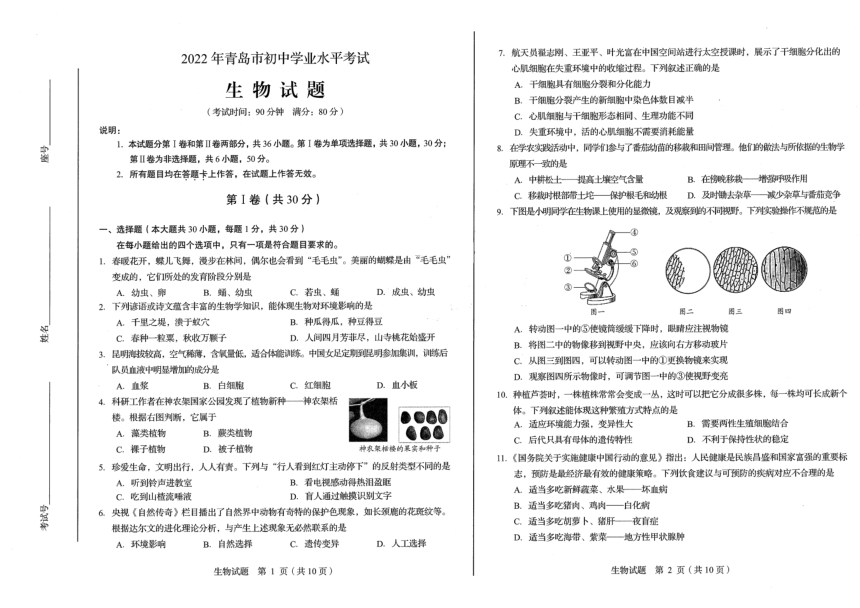 2022年山东省青岛市中考生物试题（PDF版，无答案）