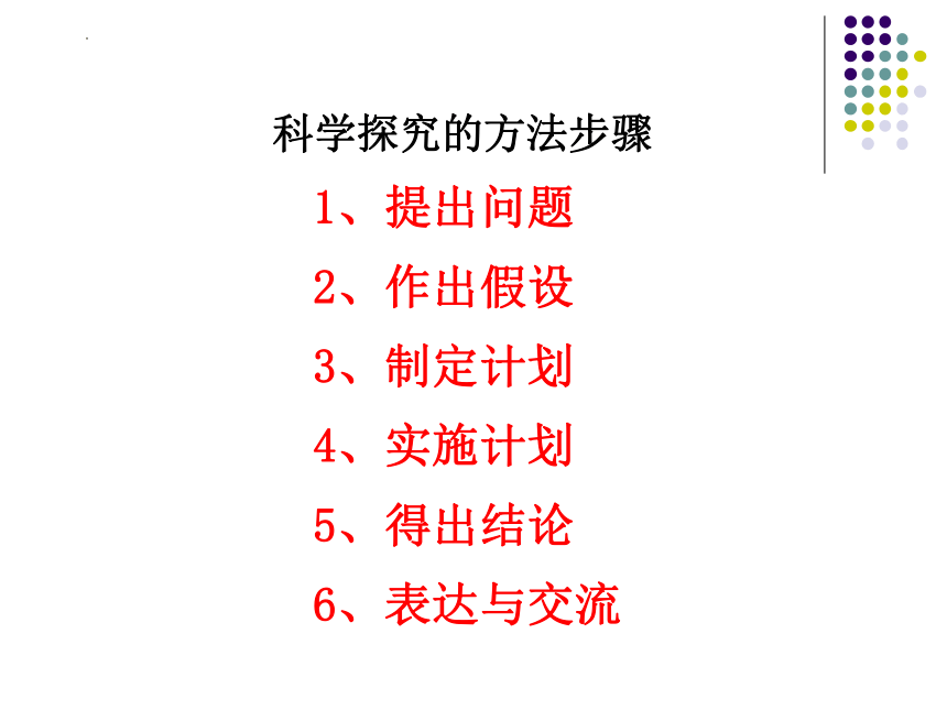 1.2.1生物与环境的关系（第2课时）课件(共15张PPT)2022--2023学年人教版七年级上册生物