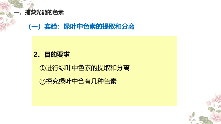 高中生物人教版（2019）必修1第5章 第4节 光合作用与能量转化 课件（28张）