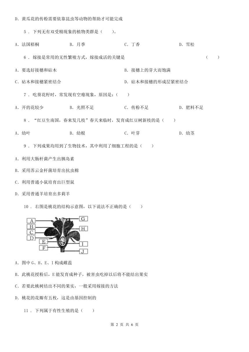 济南版八年级上册生物第四单元第一章绿色开花植物的一生单元测试题（Word版 含答案）