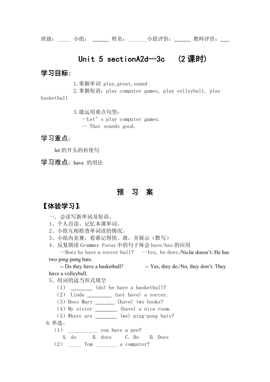 人教版七年级上册英语 Unit5 Do you have a soccer ball? SectionA 2d—3c学案