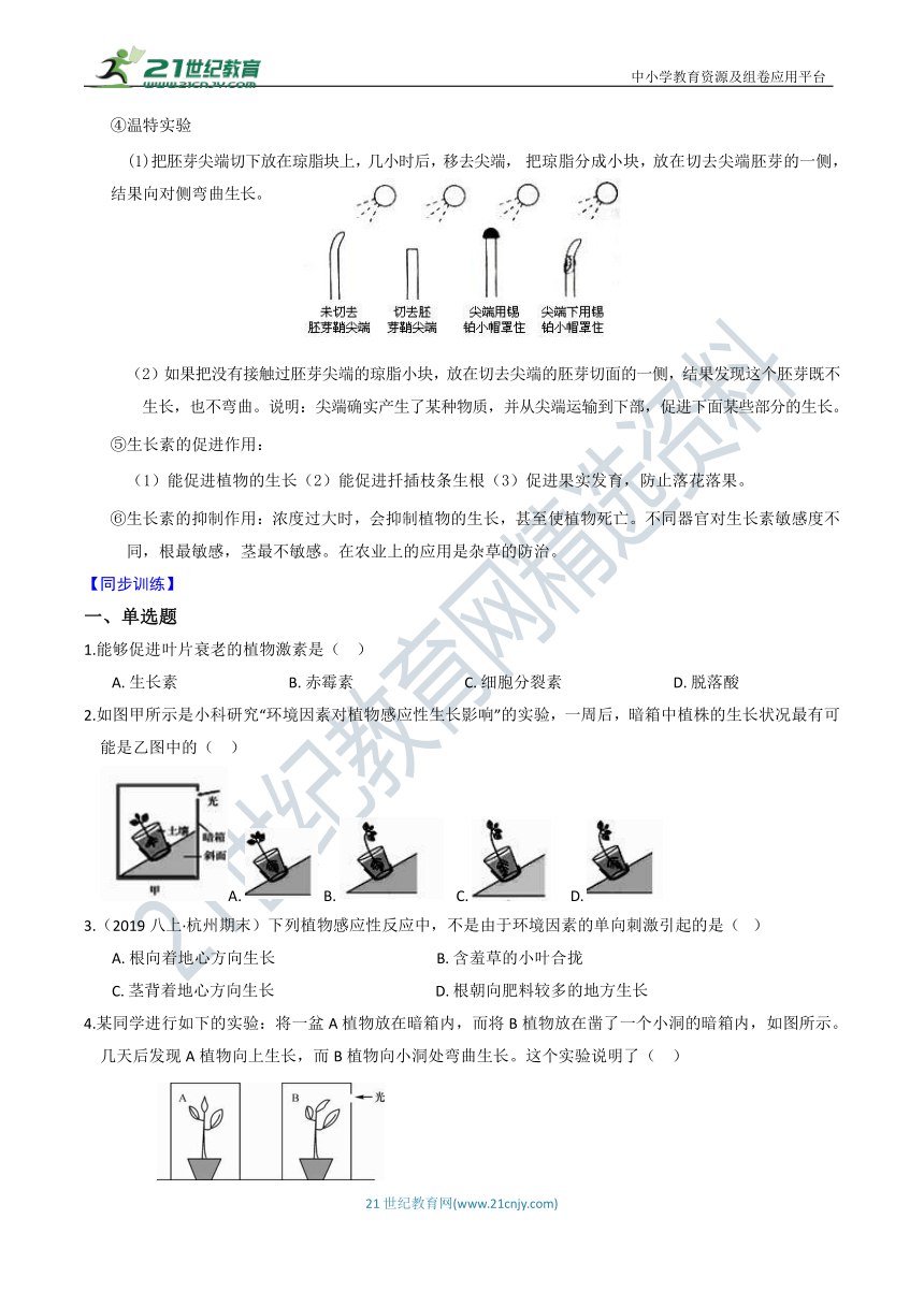 【同步训练】浙教版8年级上册 第三章 第1节 植物生命活动的调节（知识点+精练+答案）