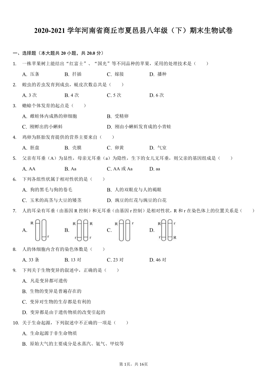 2020-2021学年河南省商丘市夏邑县八年级（下）期末生物试卷（word版，含解析）