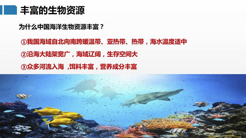 3.4 中国的海洋资源（课件）- 2022-2023学年八年级地理上册同步优质课件（湘教版）(共31张PPT)