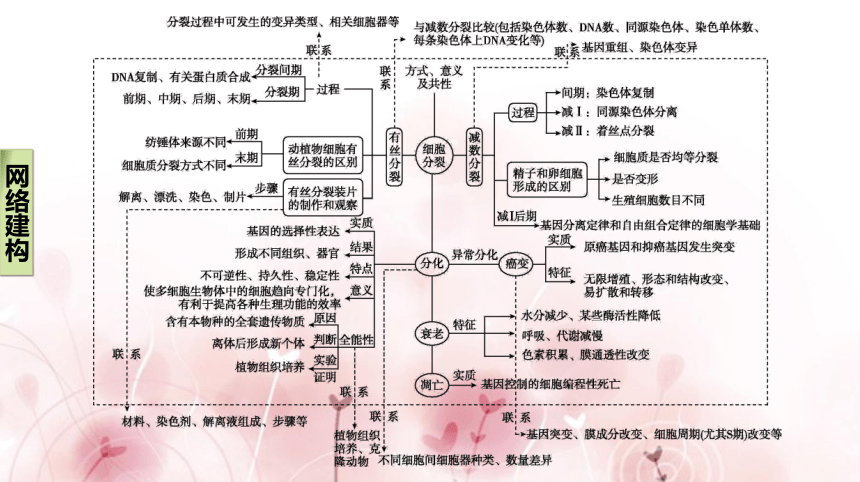 【二轮专题复习课件】第5讲　细胞的分裂、分化、衰老、凋亡和癌变(共63张PPT)