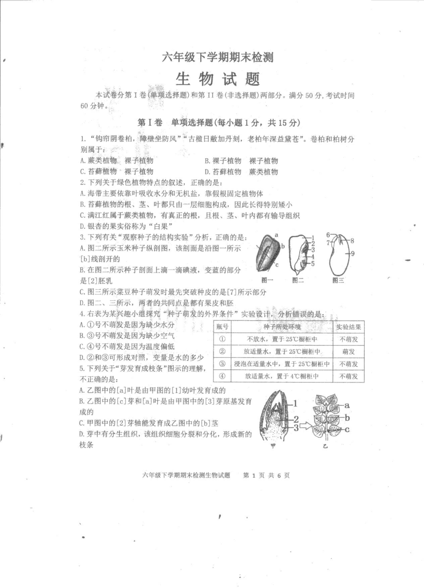 山东省泰安市新泰市（五四制）2021-2022学年六年级下学期期末考试生物试题(pdf版无答案)