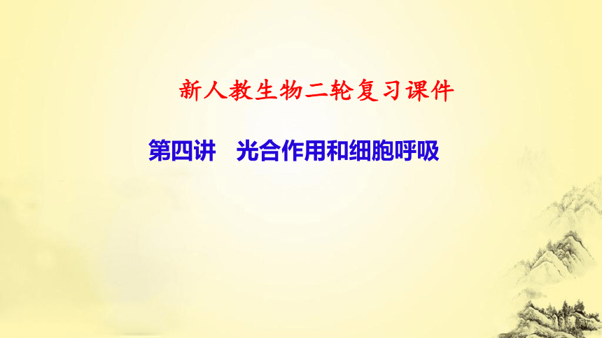 新人教生物二轮复习课件4 光合作用和细胞呼吸(课件共81张PPT)