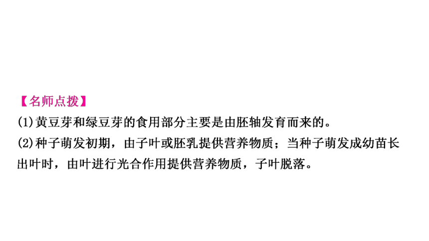 2023年人教版七年级生物上册复习专题★★第二章　被子植物的一生 课件