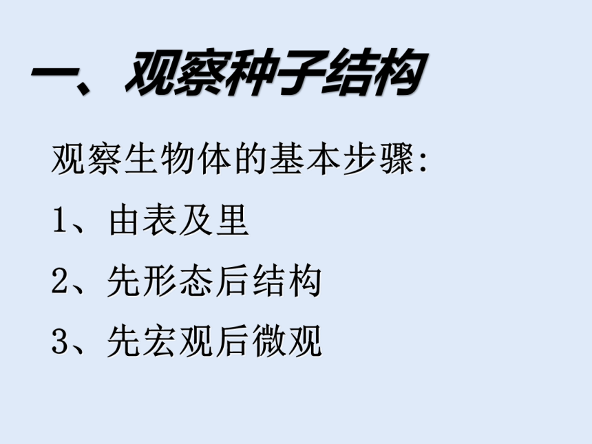 人教版七年级生物 上册 第三单元 第一章 第二节 种子植物 课件（2课时，共48张PPT）