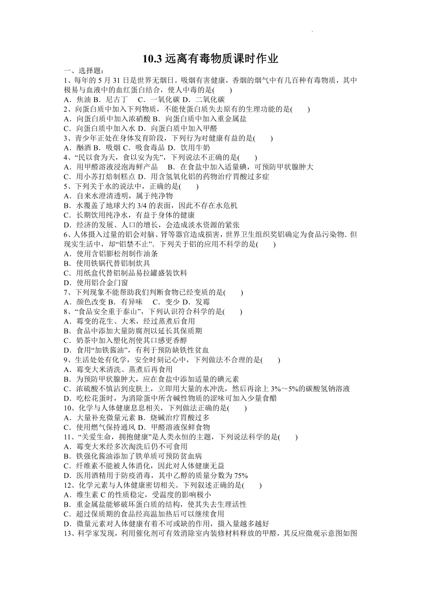 10.3远离有毒物质课时作业---2021_2022学年九年级化学鲁教版下册（word版有答案）