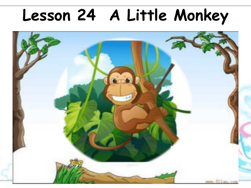 Unit4 Lesson 24 Alittle Monkey 课件 （19张PPT）