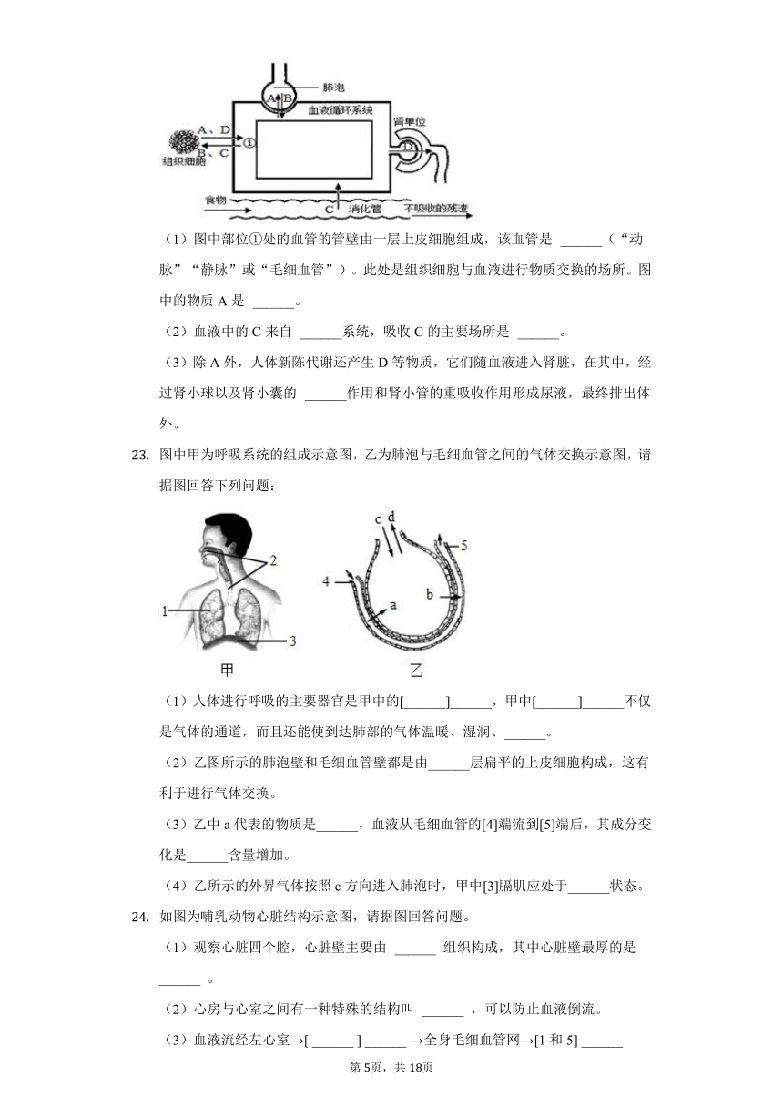 2020-2021学年四川省眉山市东坡区苏洵中学七年级（下）第二次诊断生物试卷（6月份）（含解析）