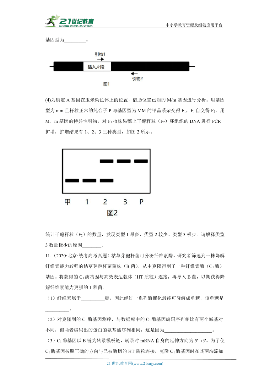 五年2018-2022高考生物真题按知识点分类汇编92-生物技术与工程-基因工程的应用（含解析）