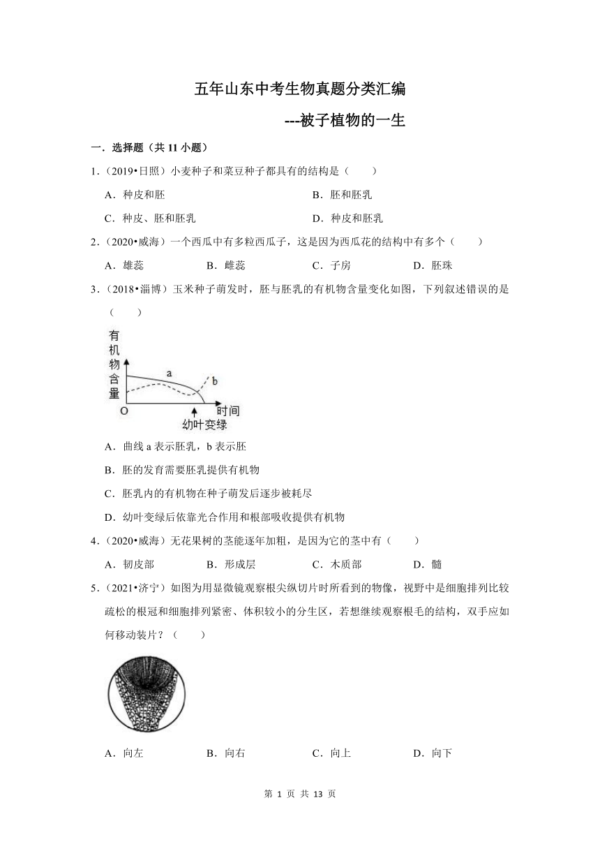 五年山东中考生物真题分类汇编---被子植物的一生（含解析）