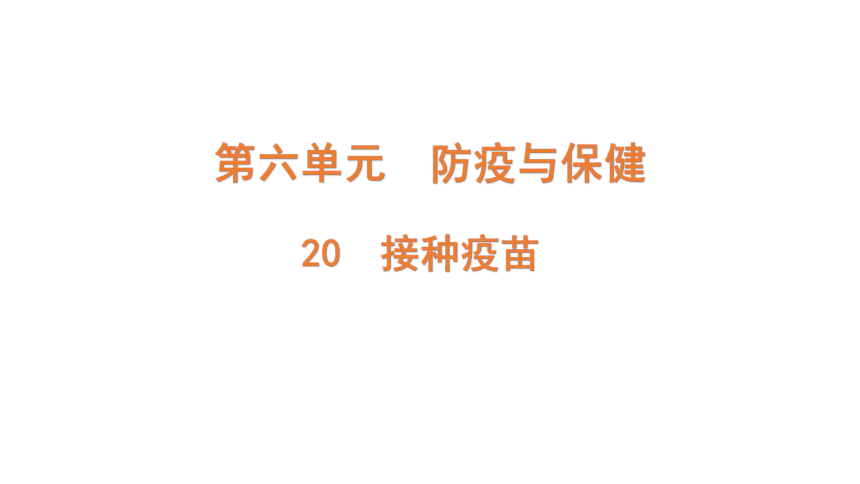 青岛版（六三制2017秋） 六年级上册6.20 接种疫苗（含练习）课件(共12张PPT)