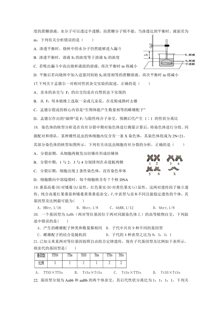 云南省元谋县高中2020-2021学年高一下学期末考试生物试题（Word版含答案）