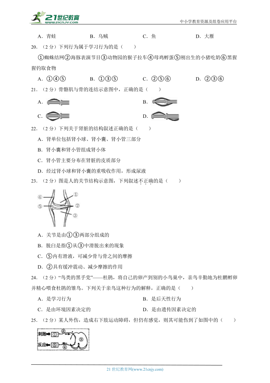 苏科版生物八年级上册期中质量检测模拟题（二）(含解析)