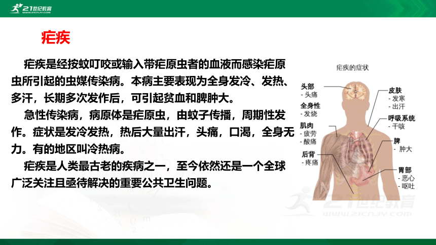 7.1 青蒿素：人类征服疾病的一小步 课件