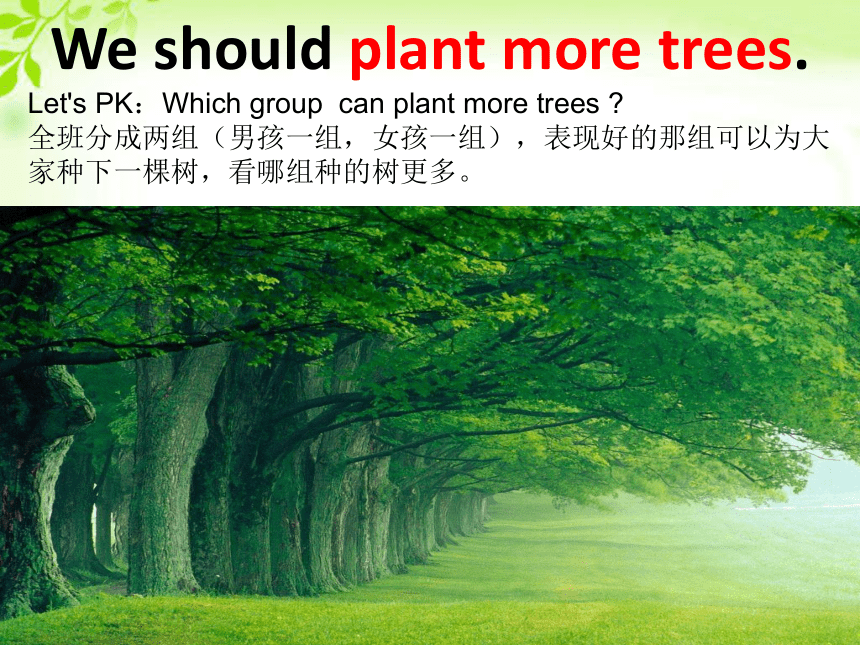 Unit 4 Planting trees is good for us课件（共27张PPT）