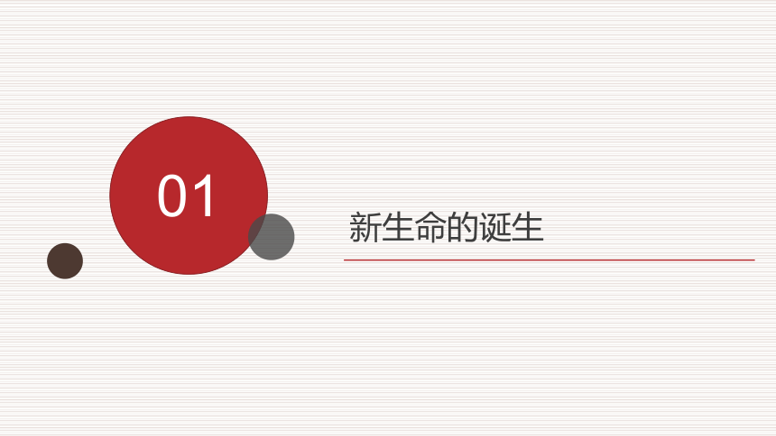 青春期生长发育特点 课件( 27张PPT) -2021-2022学年体育与健康五至六年级 人教版