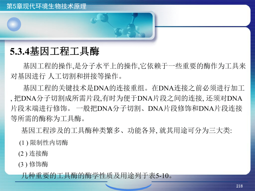 5.现代环境生物技术原理_8 课件(共25张PPT）- 《环境生物化学》同步教学（机工版·2020）