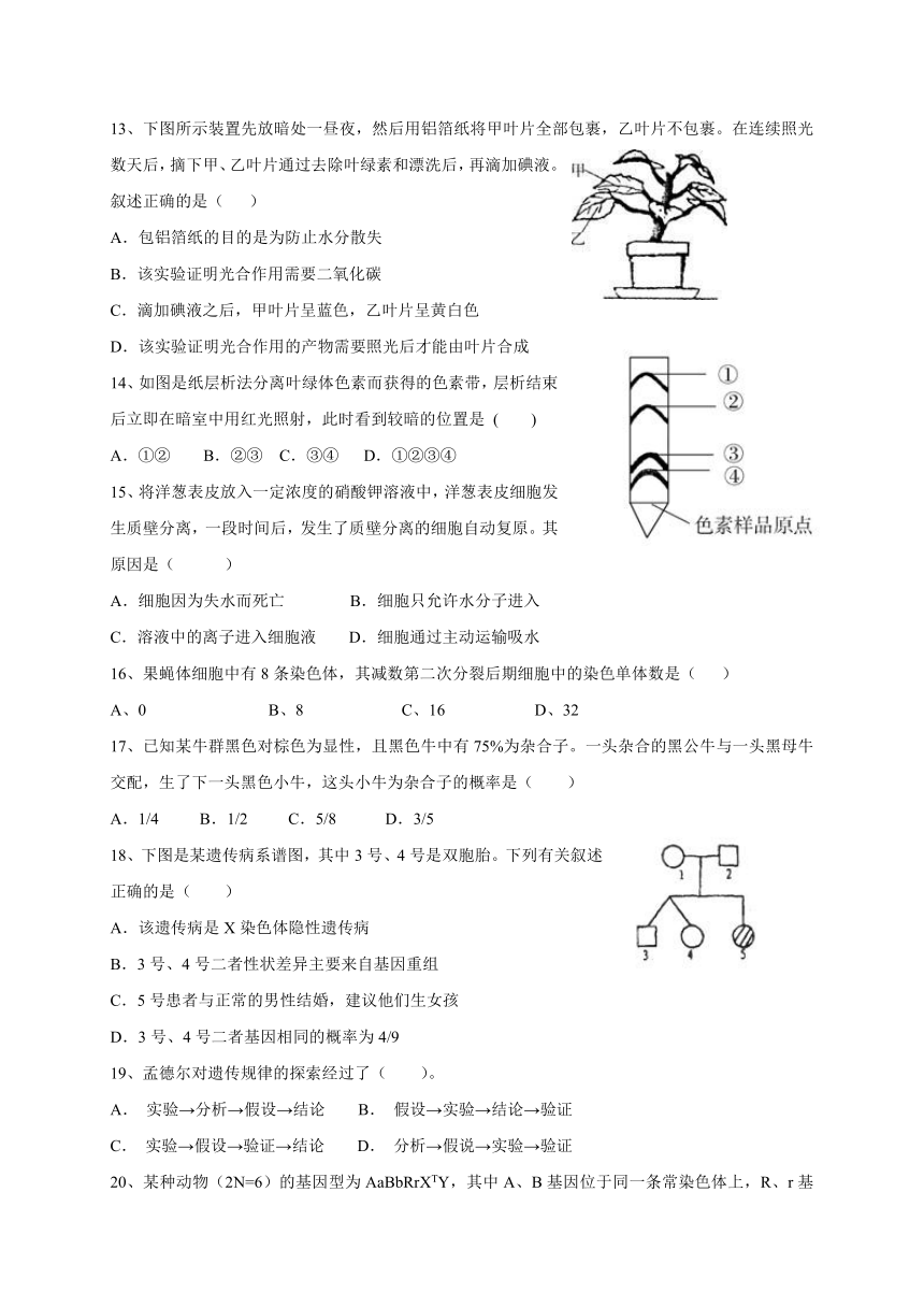 陕西省咸阳市永寿中学2021届高三上学期开学考试（摸底）生物试题