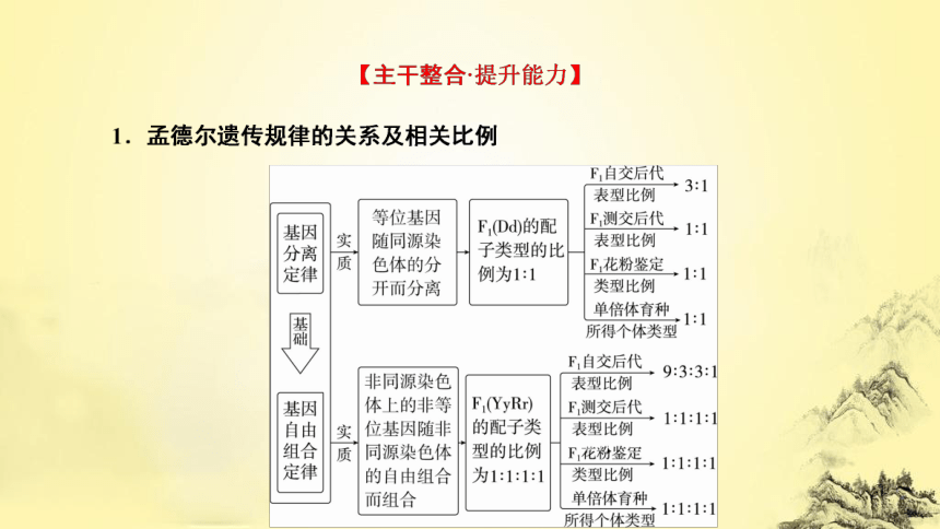 新人教生物二轮复习课件6 遗传的基本规律和伴性遗传(课件共97张PPT)