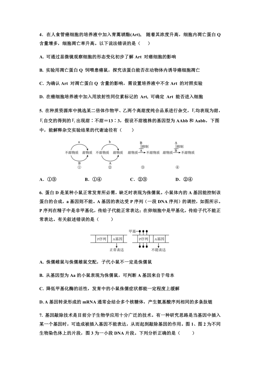 海南省海口市重点中学2022-2023学年高三下学期第七次月考生物学试题（Word版含答案）