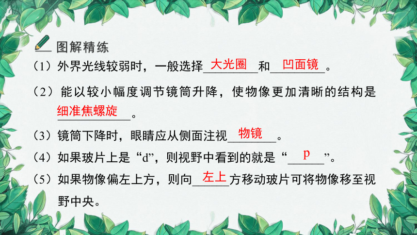 2023年中考生物复习 专题二   生物体的结构层次课件（共10张PPT）