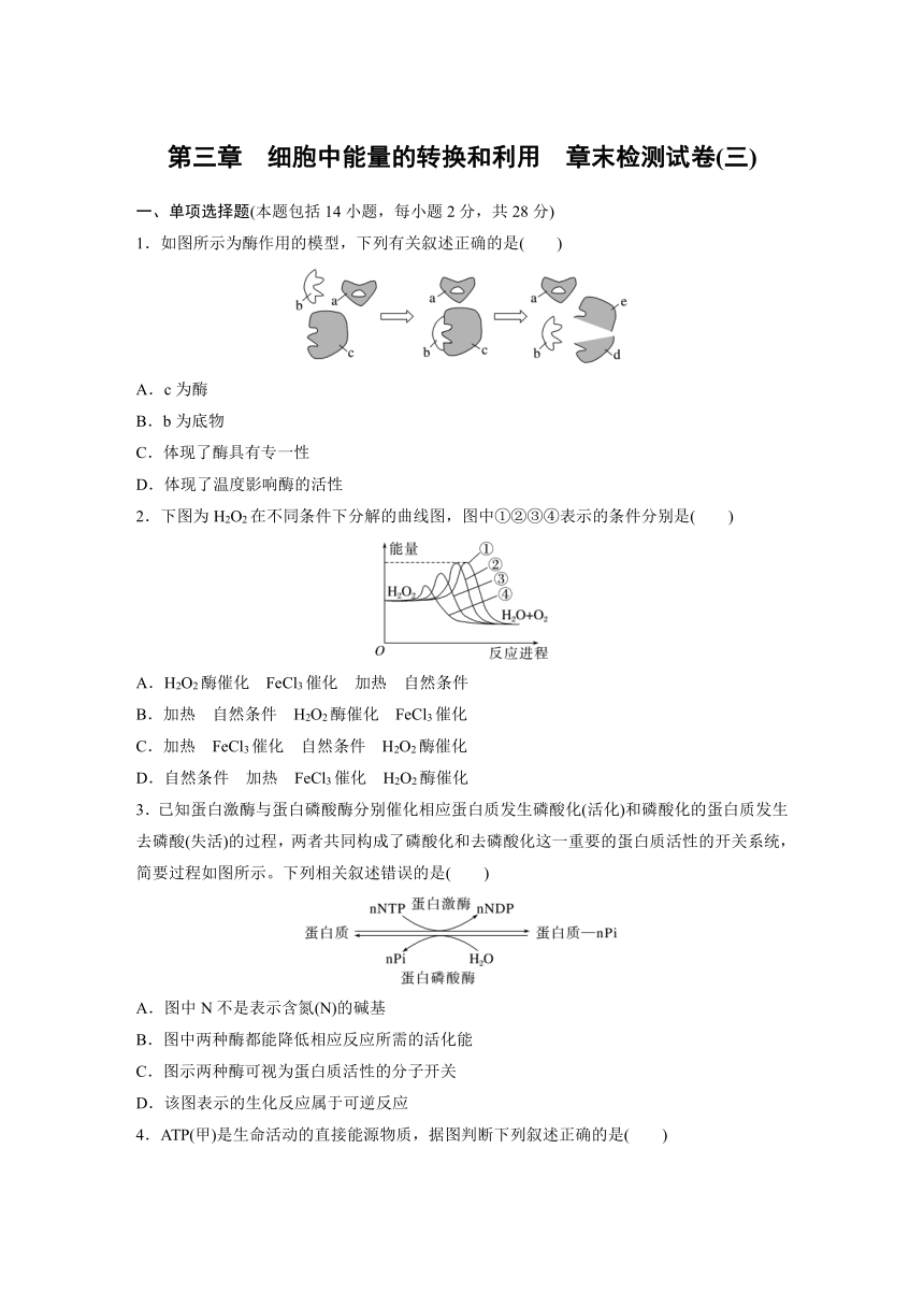 2022-2023学年苏教版2019高中生物必修1 第三章　细胞中能量的转换和利用  章末检测试卷(三)（word版含部分解析）