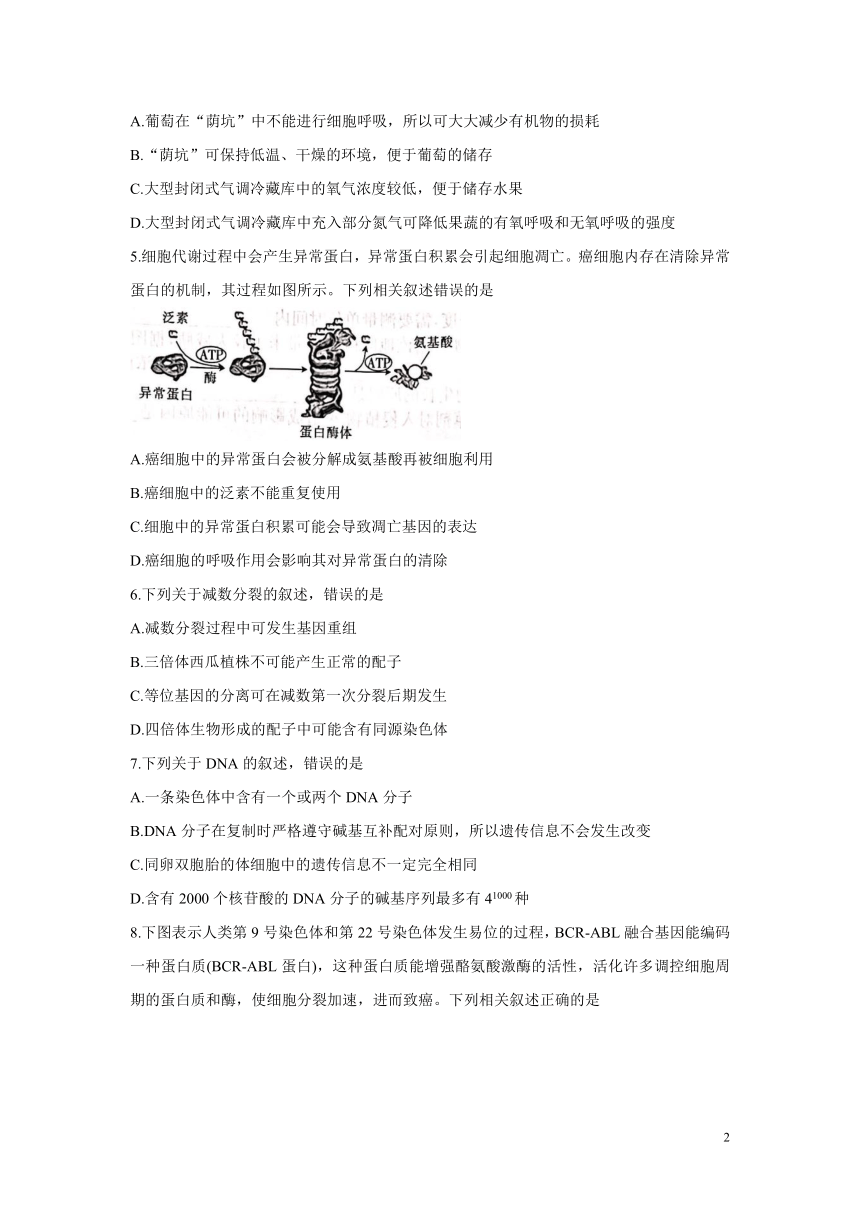 河北省邢台市2022届高三上学期入学考试 生物 （Word版含解析）