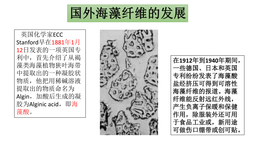 海藻纤维 课件(共14张PPT)《服装材料》同步教学（中国纺织出版社）