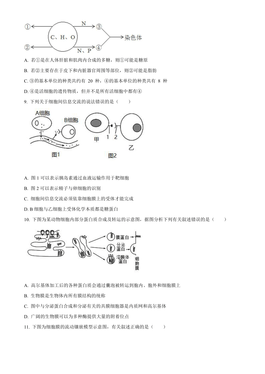 黑龙江省省实中2020-2021学年高一下学期3月开学考试生物试题     含答案