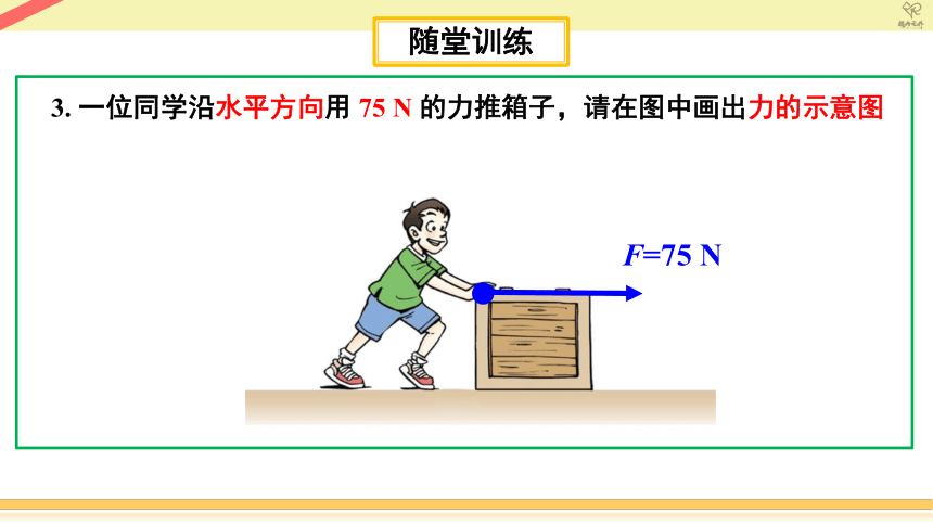 【课件】初中物理八年级下册期中复习1力 (共43张PPT)