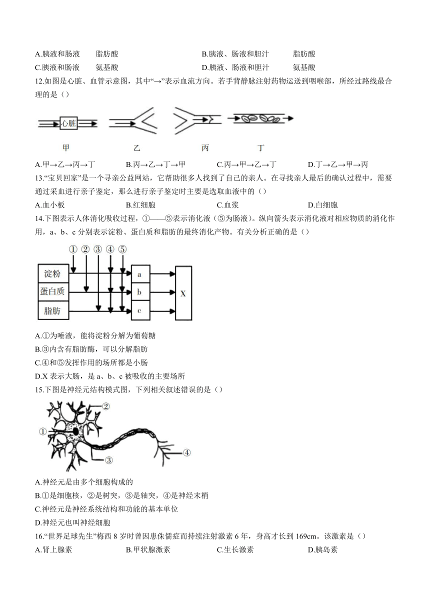 山西省运城市盐湖区2022-2023学年七年级下学期期末生物试题（Word版 含答案）