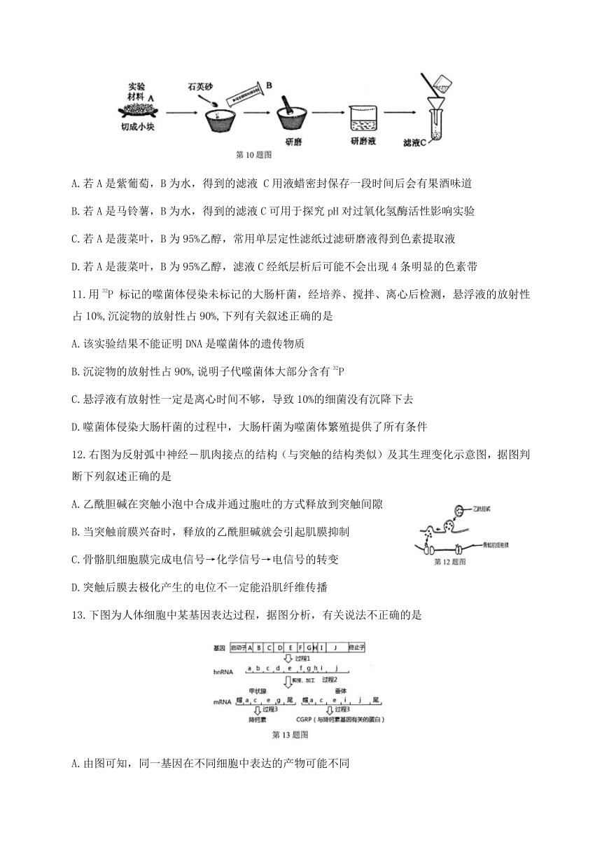 浙江省名校新高考研究联盟（Z20联盟）2021届高三上学期第二次联考（12月）生物试题  含答案