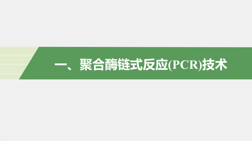 高中生物苏教版（2019）选择性必修3第三章 第一节　第2课时　PCR技术和利用PCR技术扩增DNA片段并完成电泳鉴定（76张PPT）