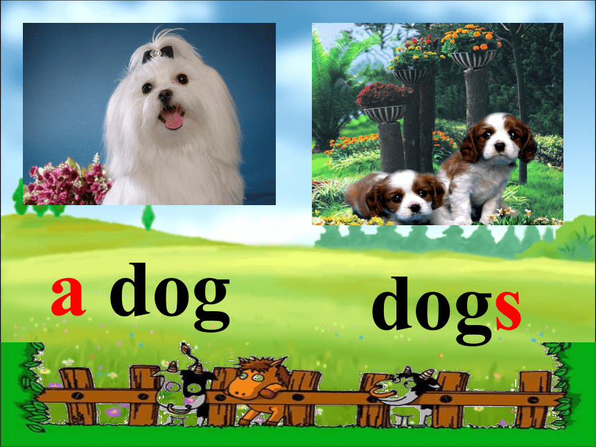 Unit 1  Lesson 2 Cats and Dogs课件（14张PPT）