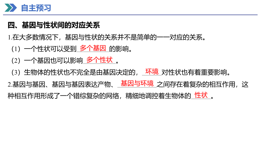 4.2 基因表达与性状的关系 课件(共39张PPT) 2023-2024学年高一生物人教版（2019）必修第二册