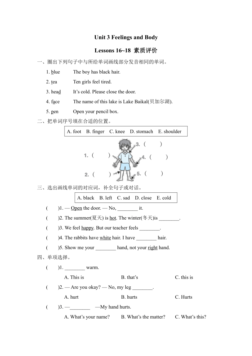 Unit 3 Feelings and Body Lessons 16~18 素质评价（含答案）