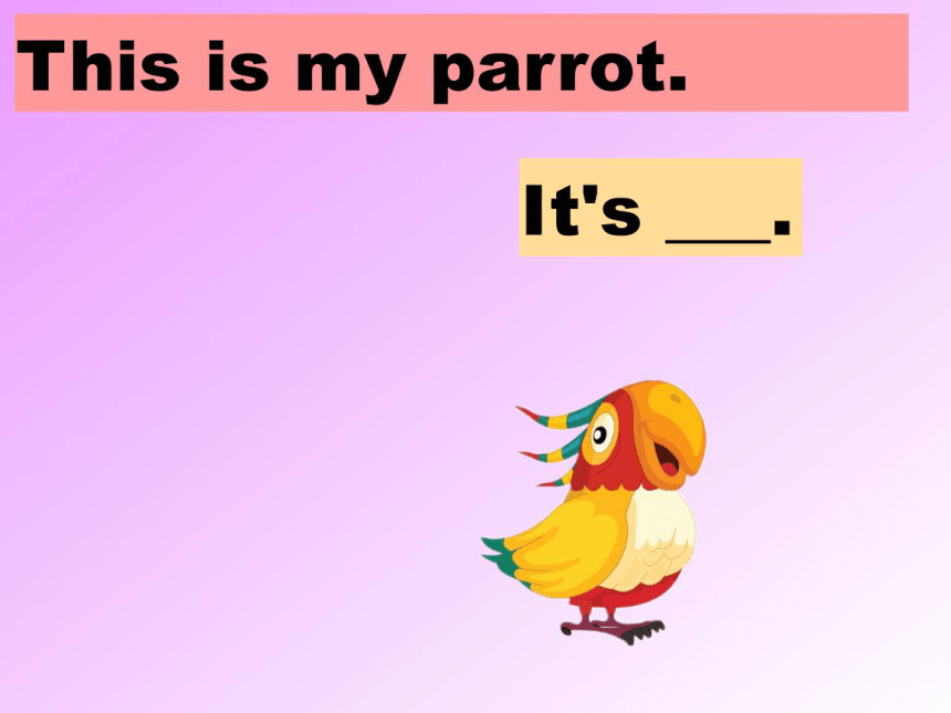 Unit 5 It's a parrot.Lesson 30  Revision 课件(共19张PPT)