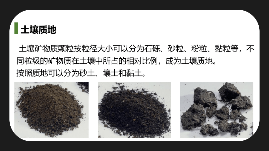 5.2 土壤的形成课件 (共34张PPT)