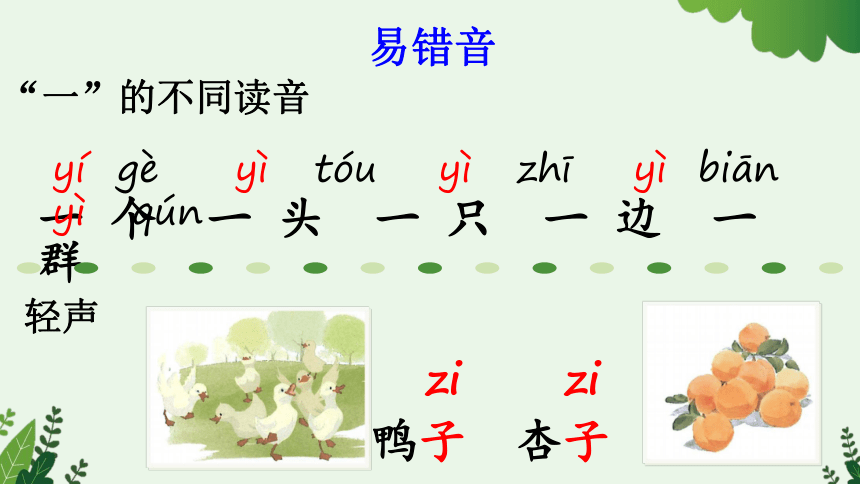 7 大小多少 课件 2课时(共47张PPT)