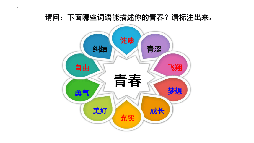 3.1 青春飞扬 课件(共24张PPT)-2023-2024学年统编版道德与法治七年级下册