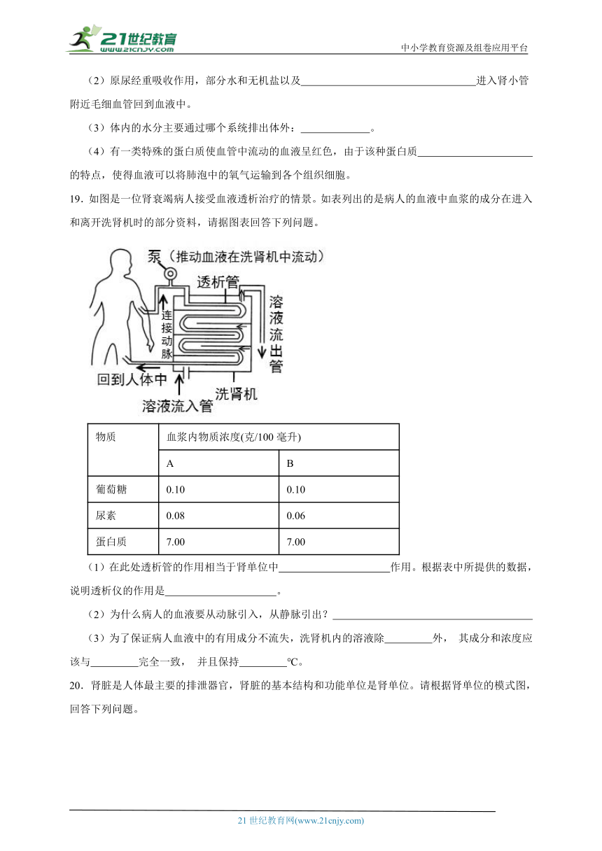 浙教版九上第四章专题二十三、能量获得及体内物质的动态平衡（含解析）